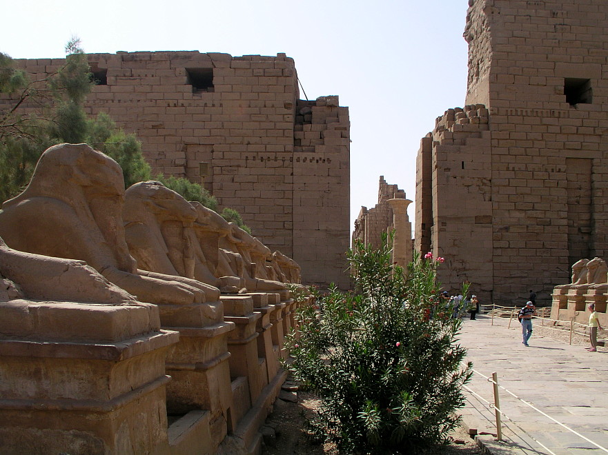 Karnak - Allee der Widdersphingen