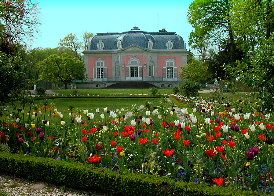 Tulpen am Schloss Benrath
