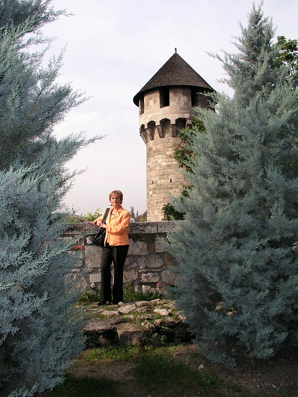 Wehrturm an der Burgmauer