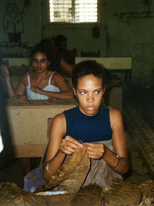 Zigarrenfabrik auf Kuba 1997