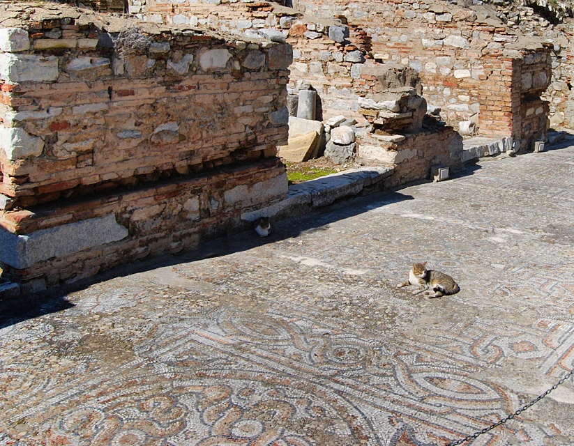 Mosaikboden in Ephesos mit Katze