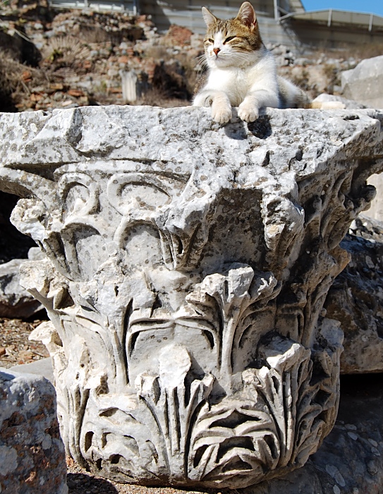 Korinthisches Säulenkapitell