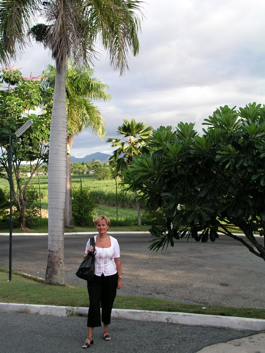 Am Hotel Tanoa International, Viti Levu, Fidschi