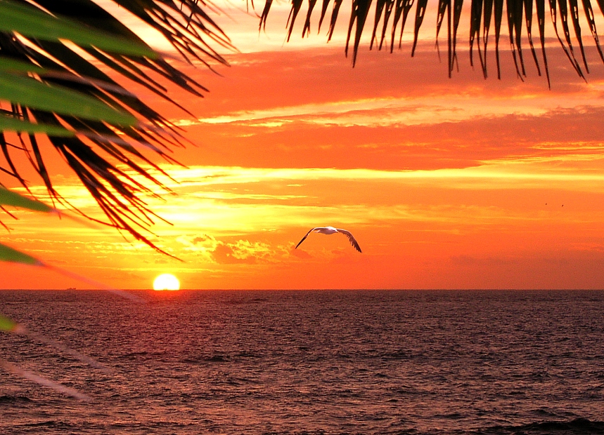 Sunset Fiji Island