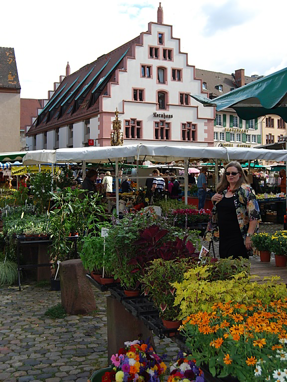 Blumenmarkt Freiburg