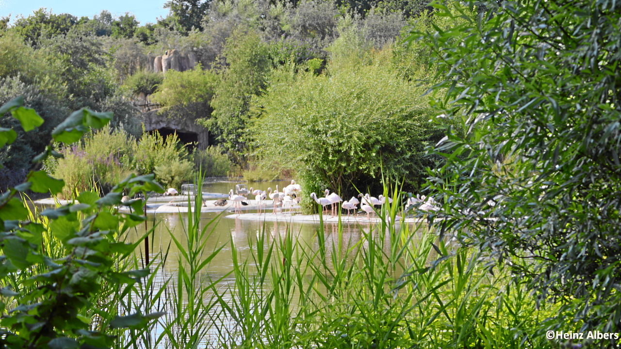 Feuchtgebiet für Wasservögel