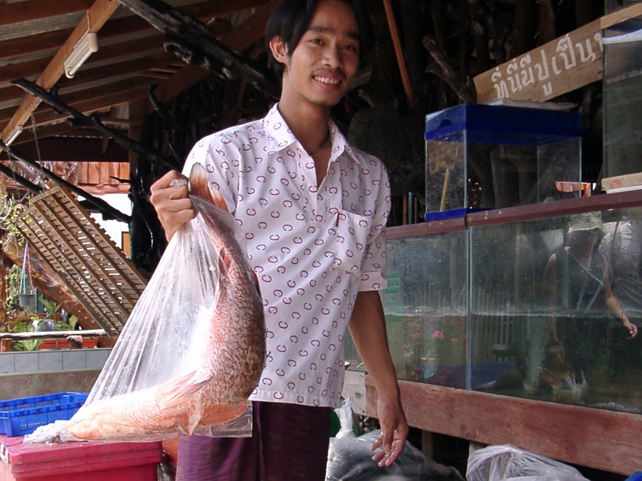 fresh seafood, Koh Chang, Thailand