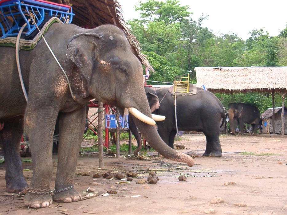 Koh Chang, die Elefanteninsel
