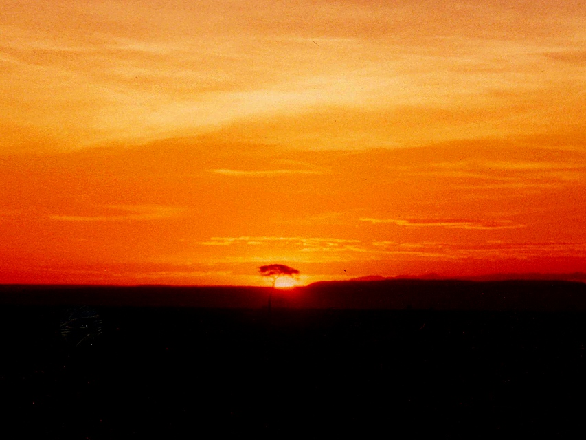 Sonnenuntergang Kenya, Massai Mara
