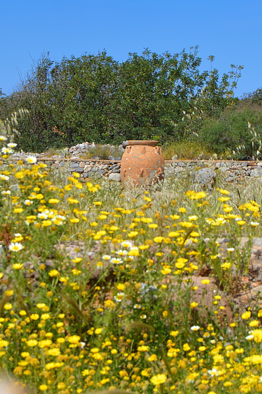Ein Pithos in Kretas Blumenmeer