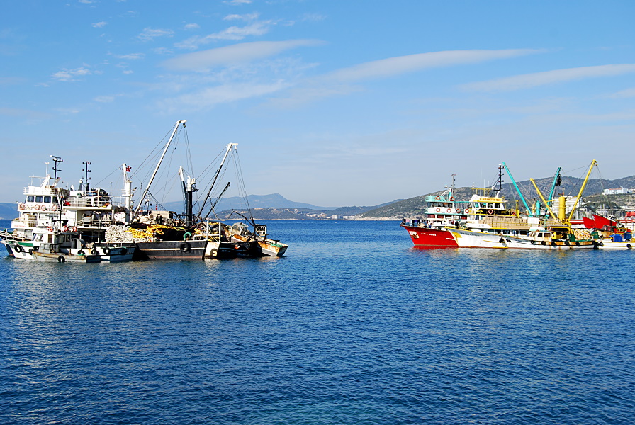 Kusadasi: Fischereiboote im Hafen