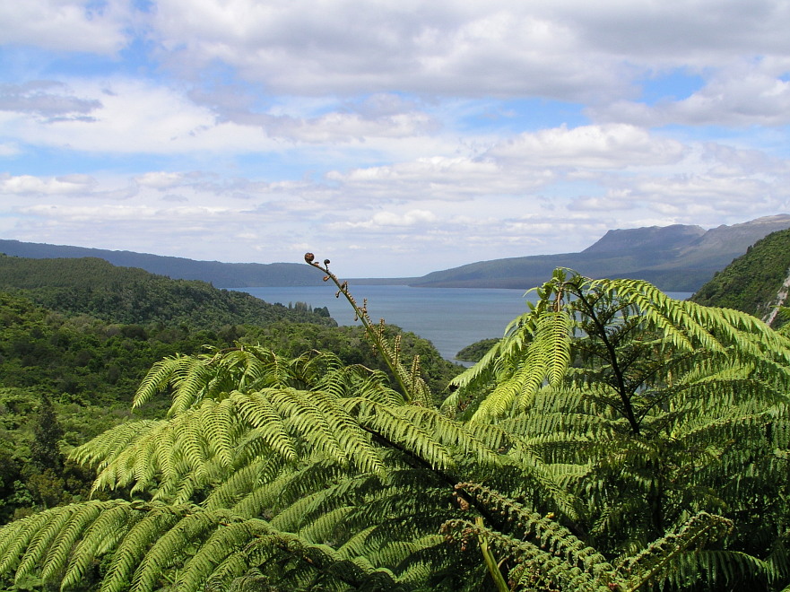 Lake Tarawera, New Zealand
