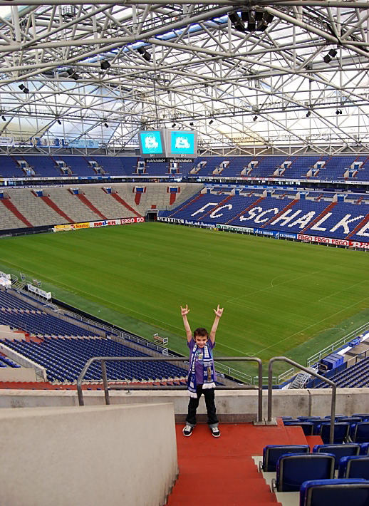Das Dach der Arena auf Schalke, Foto: Heinz Albers