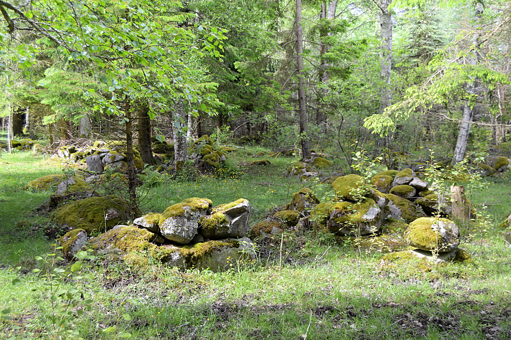 Landschaft in Vissefjärda