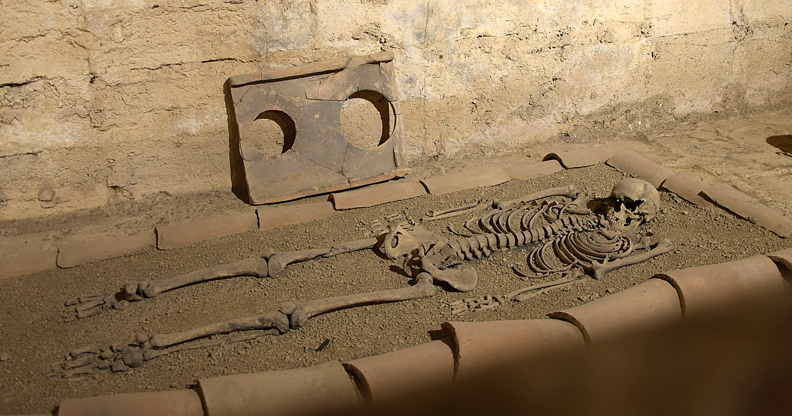 Skelett aus dem Museum von Side