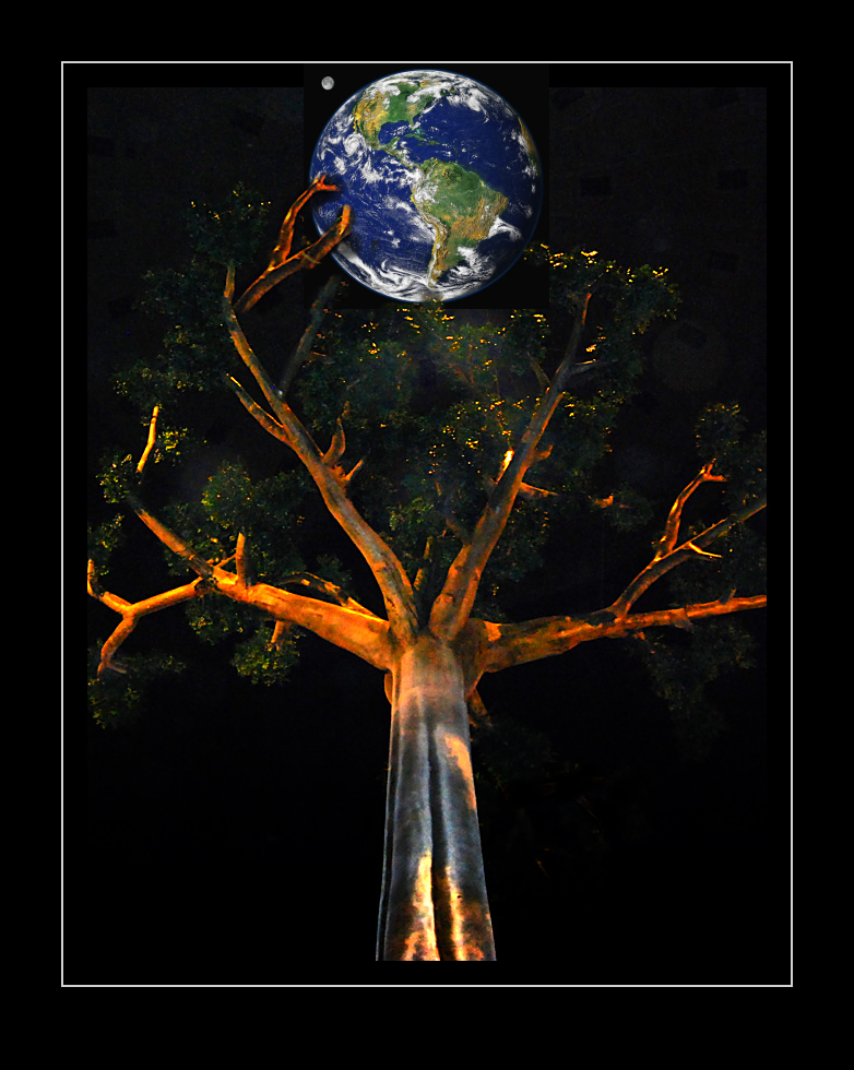 Baum und Erde - Symbol einer Symbiose