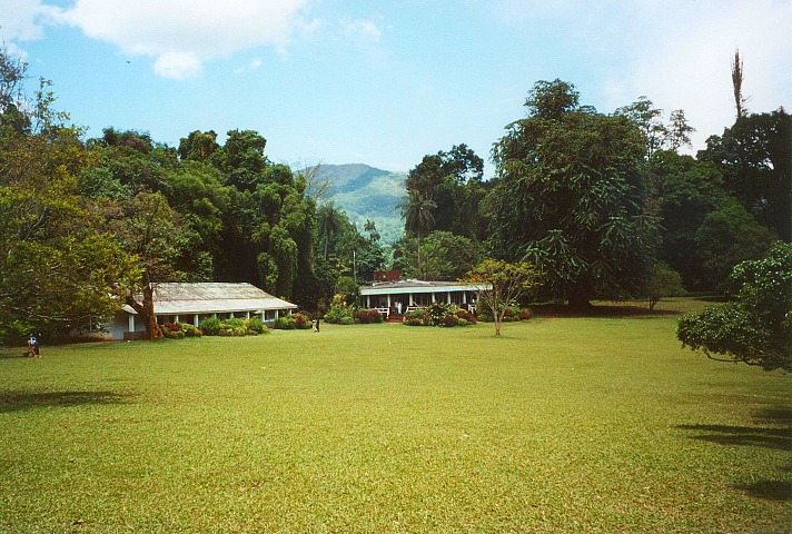 Botanischer Garten Sri Lanka