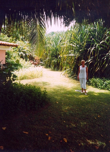 Hotelgarten Isla Margarita 1996