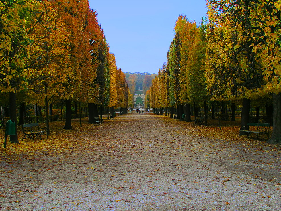 Park Schloss Schoenbrunn