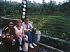 An einer Reisterrasse auf Bali
