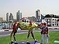 Dubai 2004: Kunstobjekt Dromedar