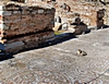 Mosaiken mit Katze in Ephesos