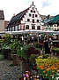 Blumenmarkt und Kornhaus am Münsterplatz in Freiburg