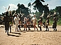 Stammestanz außerhalb der Touristenzonen, Kenia 1994