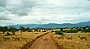 Pirschfahrt im Nationalpark Tsavo West, Kenia