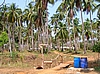 Ein kleines Dorf unter Palmen auf Koh Mak