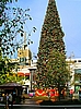 Los Angeles, 25m hoher Weihnachtsbaum