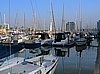 Los Angeles Yachthafen "Marina del Rey"