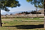 Ruinenfeld in Hierapolis