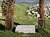 Grab von Carl Humann in Pergamon