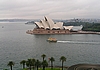 Palmen im Vordergrund des Opernhauses von Sydney