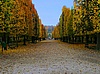Schloss Schönbrunn umgibt eine sehr weitläufige Parkanlage