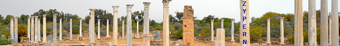Zypern, Säulen in Salamis